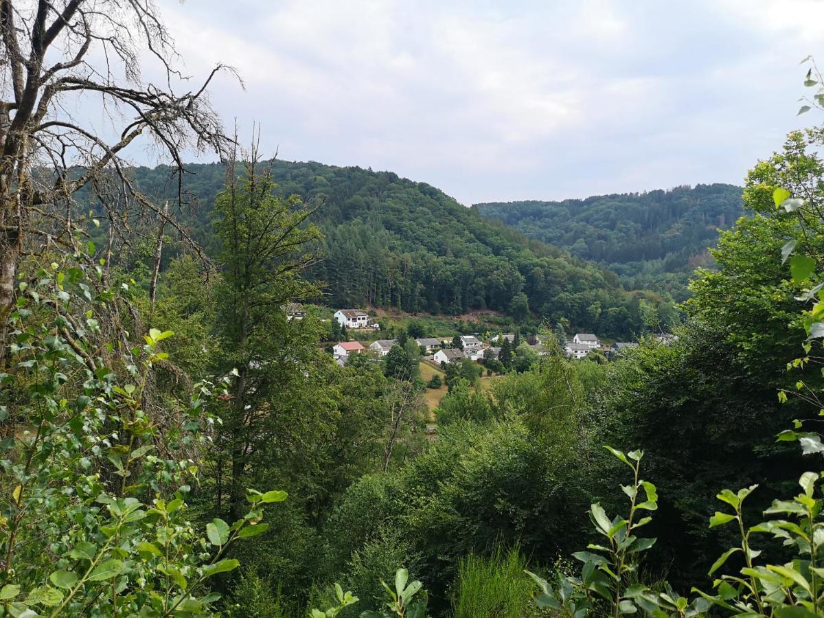 Ferienhaus Kylltal Villa Zemmer Kültér fotó